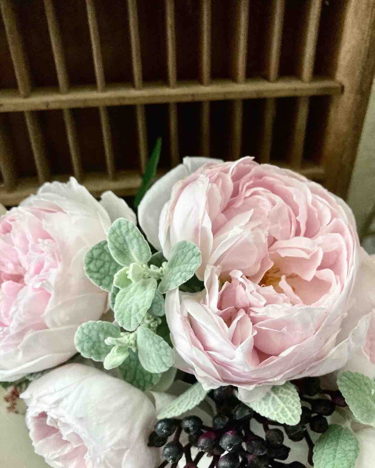 バラを飾る つぶやき P J S Home And Garden Powered By ライブドアブログ バラを飾る つぶやき P J S Home And Garden Powered By ライブドアブログ