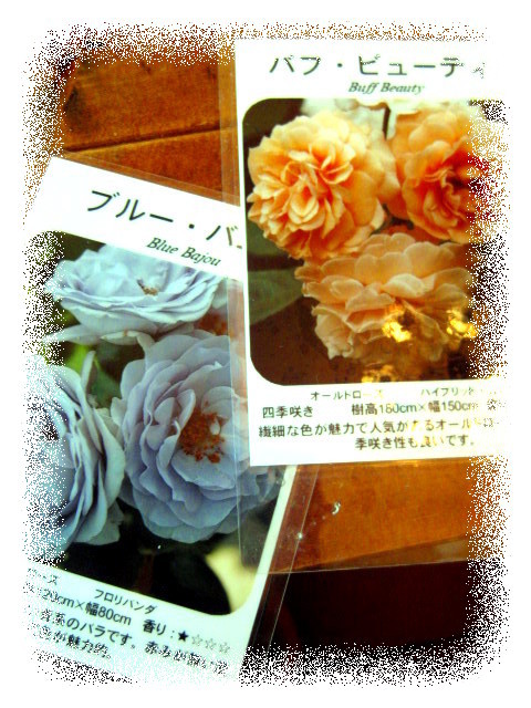 .P*J* 's  Home & Garden