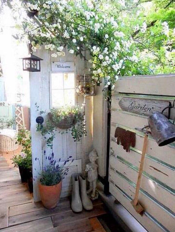 ベランダのモッコウバラの風景 P J S Home And Garden Powered By ライブドアブログ