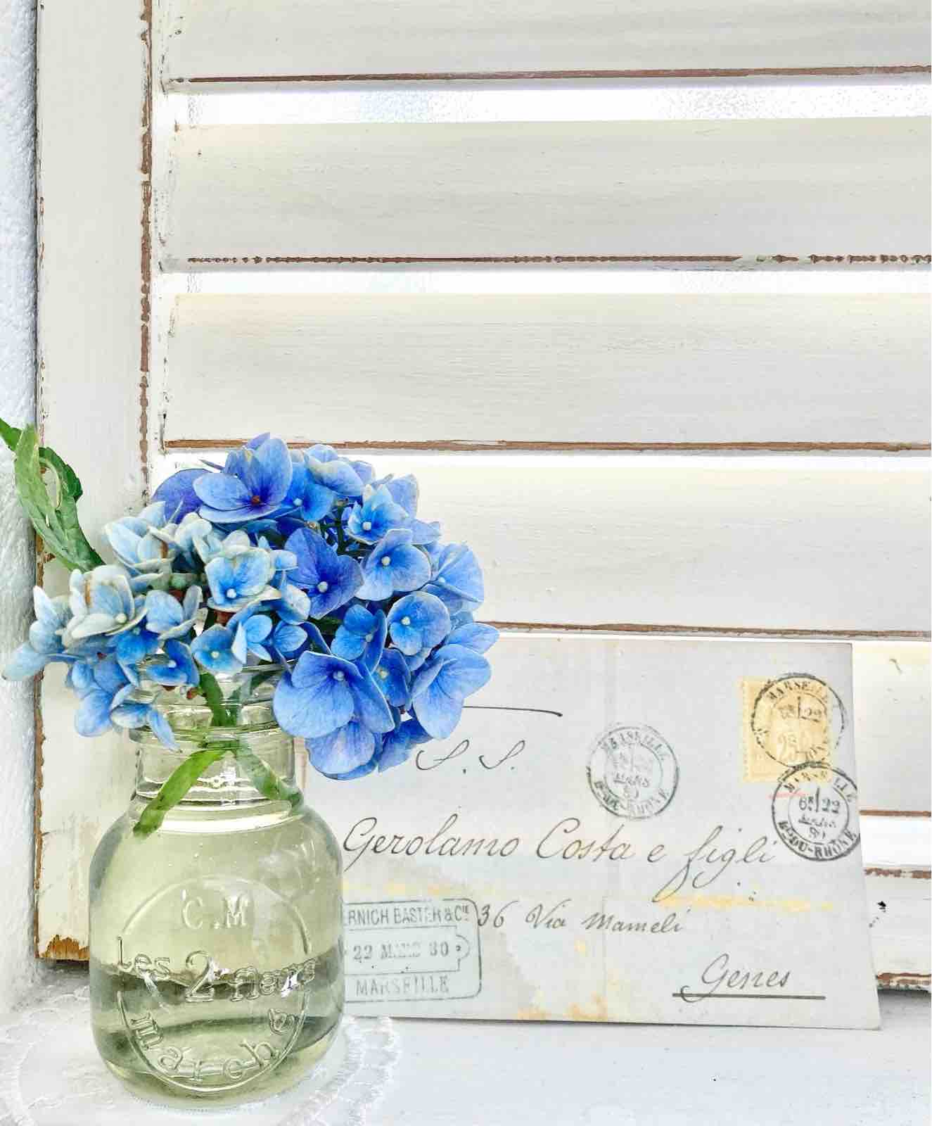 芝生のその後 P J S Home And Garden Powered By ライブドアブログ