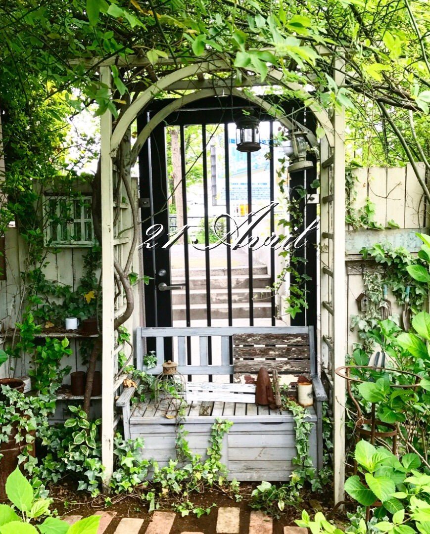 久しぶりの庭の手入れ モッコウバラに覆われた庭 P J S Home And Garden Powered By ライブドアブログ