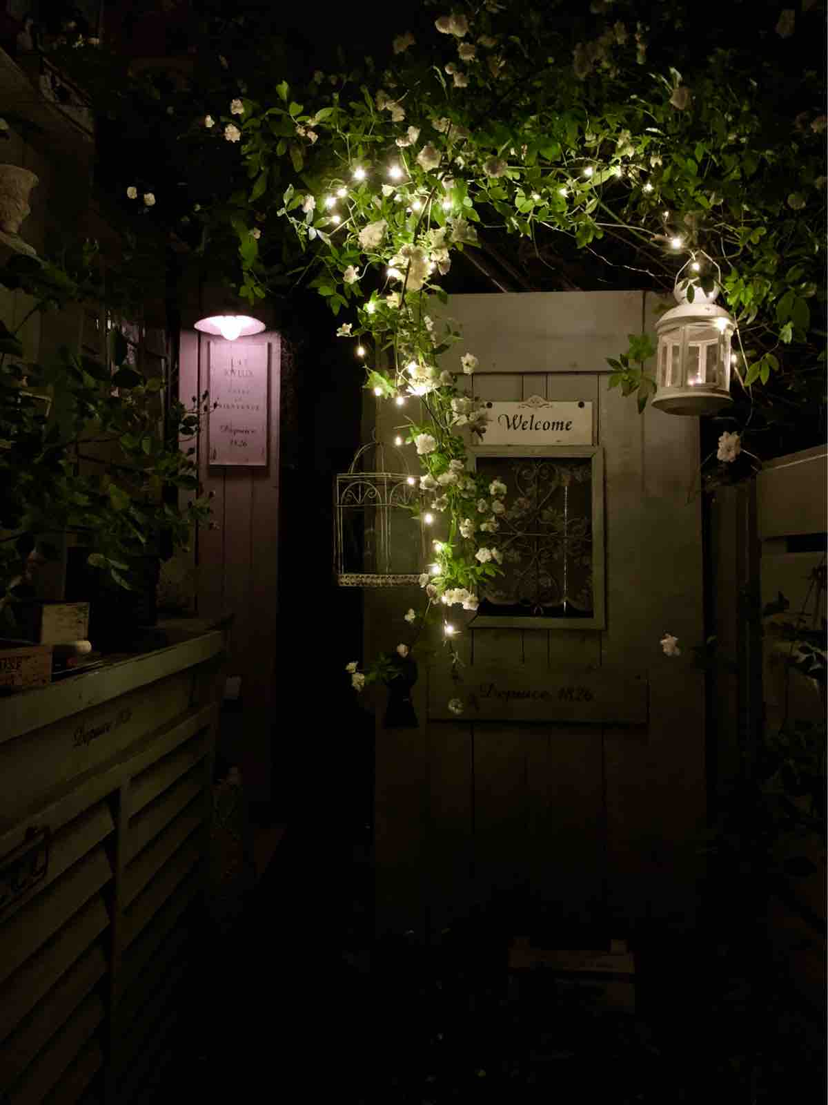 夜のベランダをライトアップ P J S Home And Garden Powered By ライブドアブログ 夜のベランダをライトアップ P J S Home And Garden Powered By ライブドアブログ