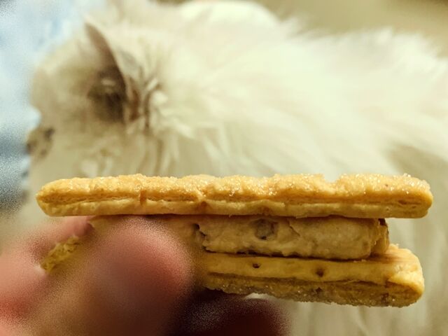 帯広 六花亭 初夏の北海道物産展21 な んか六花亭のお菓子って惹かれちゃうんだよねぇ 人生は 旅して食って呑んで