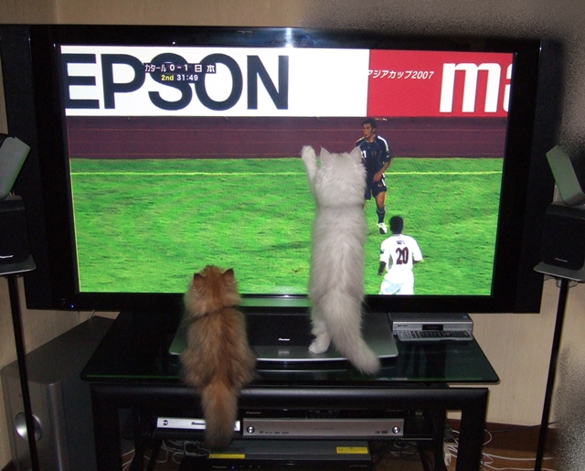 フナイの65インチ有機el Oled テレビを買うてまった 物欲の秋 人生は 旅して食って呑んで フナイの65インチ有機el Oled テレビを買うてまった 物欲の秋 人生は 旅して食って呑んで