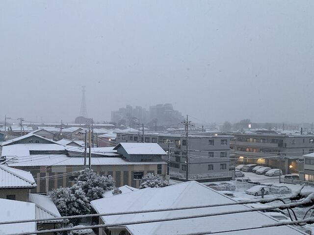 昼前から降り始めた雪は 徐々に勢いを増していく こりゃ けっこう積もるぞ 人生は 旅して食って呑んで