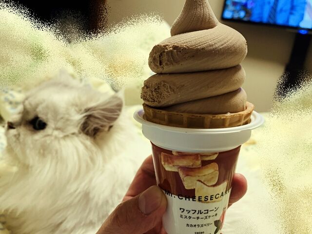 セブンイレブンのミスターチーズケーキとのコラボアイスは かなり残念 人生は 旅して食って呑んで