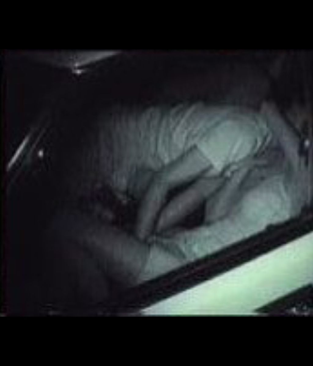 別人？】今井絵理子のカーセックス画像ｗ : まどんなにゅーす