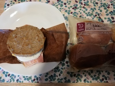 肉バーガ (12)