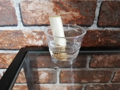 リボベジでネギ (2)