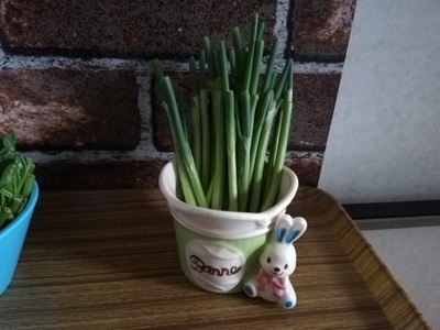 リボベジ小ネギ (2)