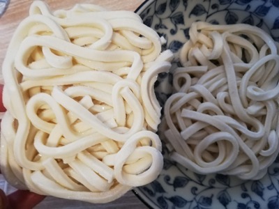 からだシフト冷凍うどん (5)