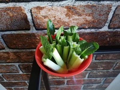 リボベジ小松菜 (4)