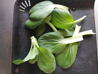 リボベジ青梗菜 (7)
