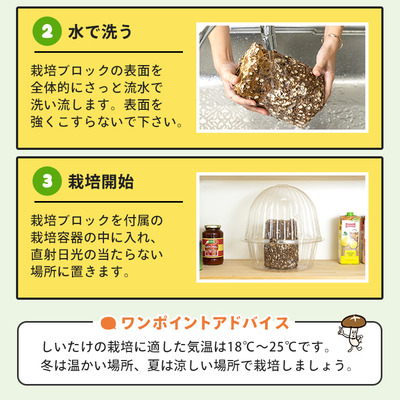 もりのしいたけ農園説明書
