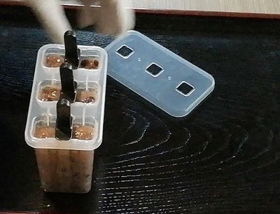 キャプチャ