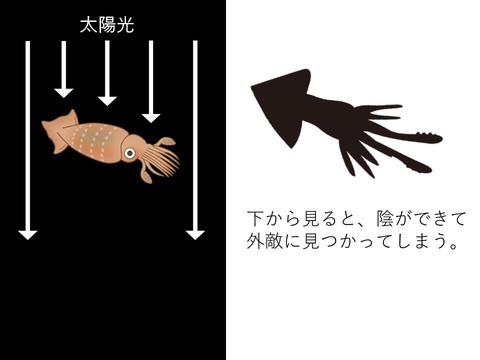 スライド1
