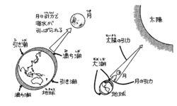 満潮干潮.gif
