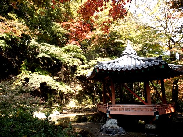 ���Ӷ�����ë����