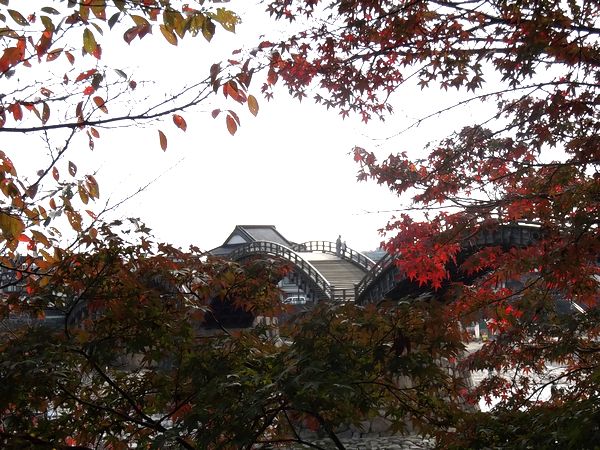 ���Ӷ�����ë����