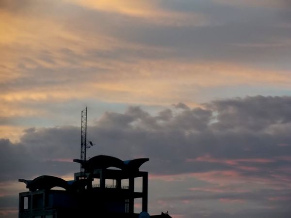 ��������