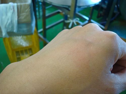 DSC02793_R