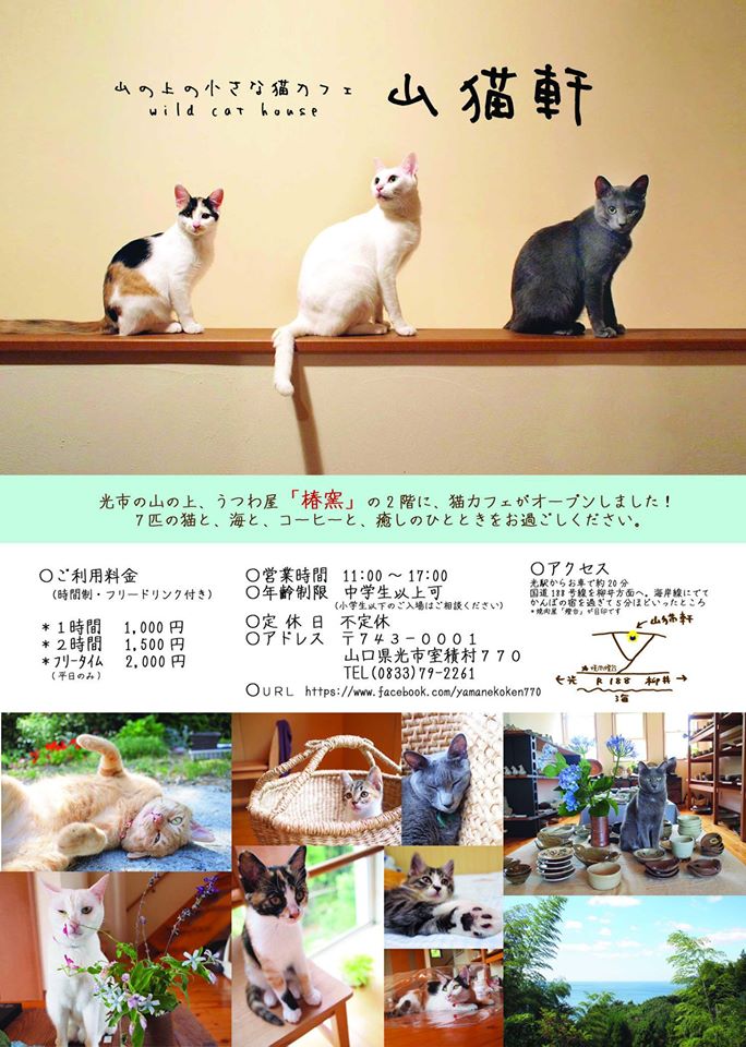 猫カフェ 山猫軒 桃天写真館