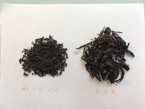 6ea09063.g
