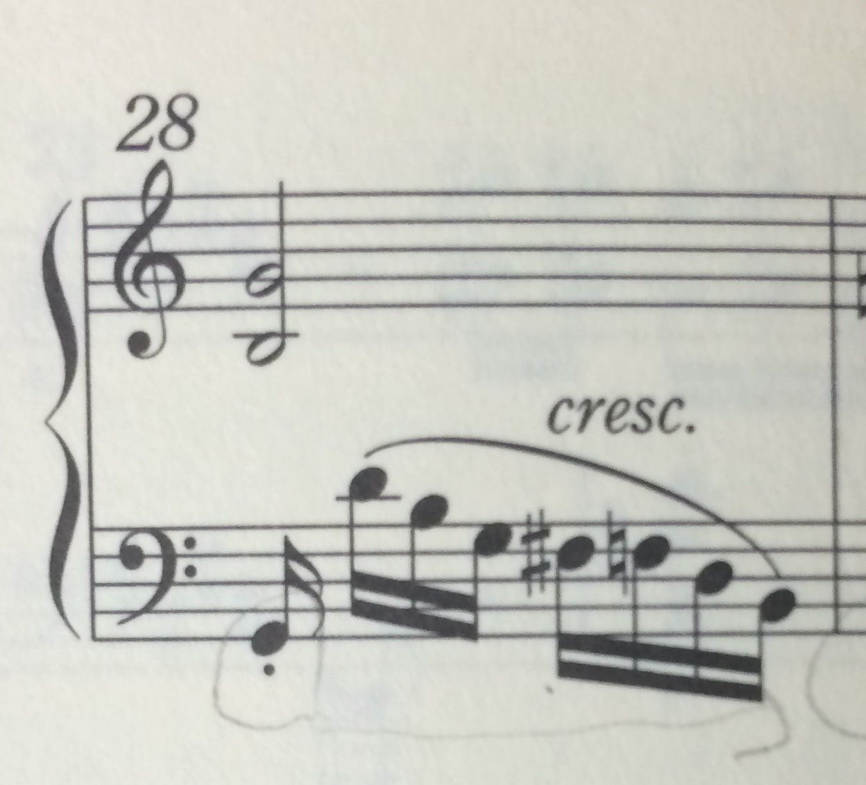 短く切る ことで どんな音を表現してるの スタッカートの本当の意味 桃とロングスカート 短く切る ことで どんな音を表現してるの スタッカートの本当の意味 桃とロングスカート