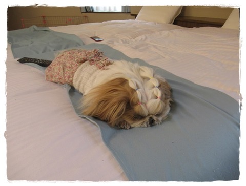 お出かけ④