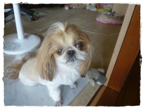 またも「はみご」