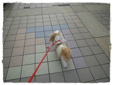 P1050011ユニ