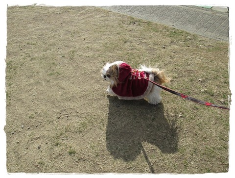 遅い初詣、おしまい。