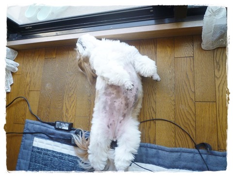 食べるようか～の一言で( ´艸｀)