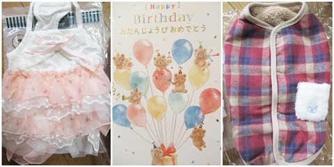 cats誕生日プレゼント