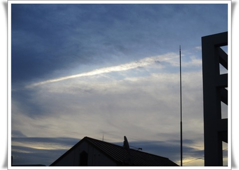 どっちでも良いでしゅ。