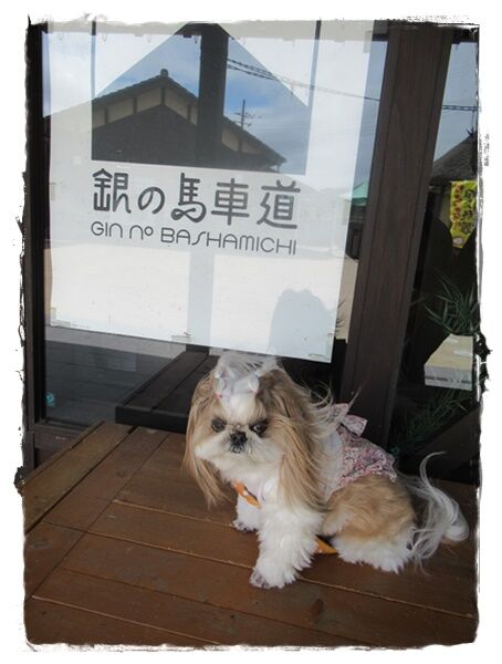 お出かけ③