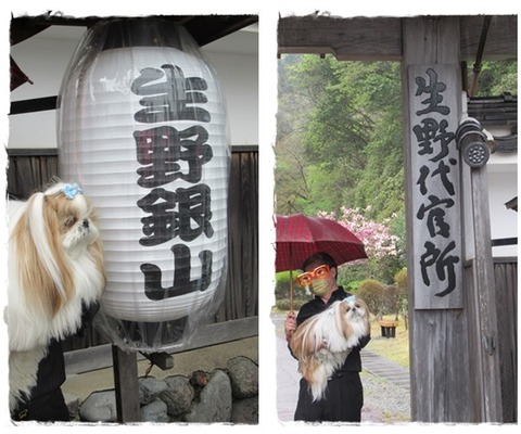 cats生野銀山ユニ