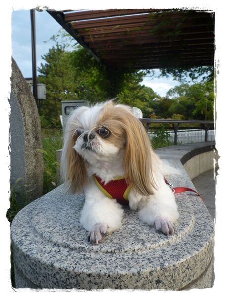 生まれて初めて～♪