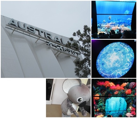 catsオーストラリア館