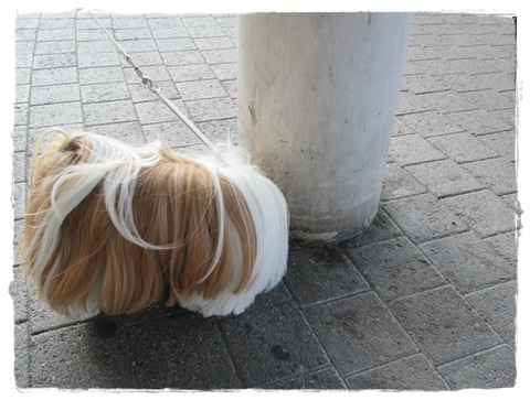 鳥羽でクリスマス♪(その１)