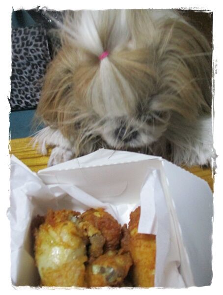 これからは…絶対!に～