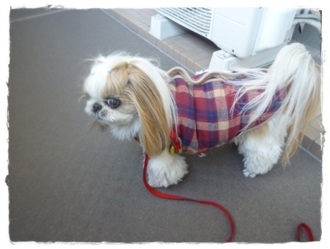 チョット後悔。