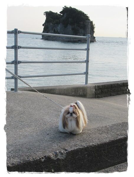 誕生日旅行。和歌山その2