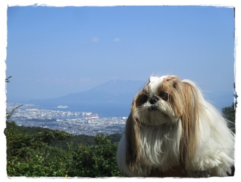 霧島神宮の次は…