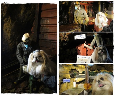 catsg銀山炭鉱ないユニ