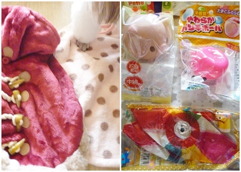 catsプレゼント１