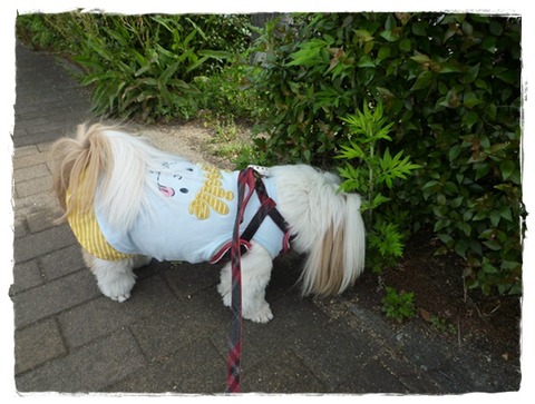 お友達に会っても…