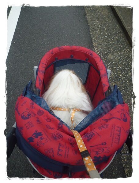 只今、キレイキレイ中。