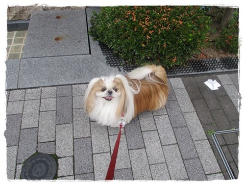 １回でおわり。