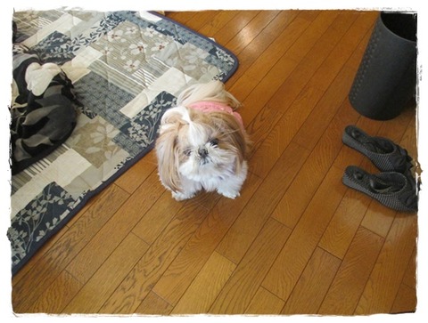 チョットだけON。